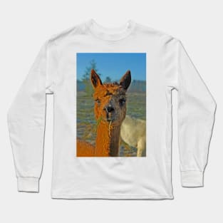 Alpaca Long Sleeve T-Shirt